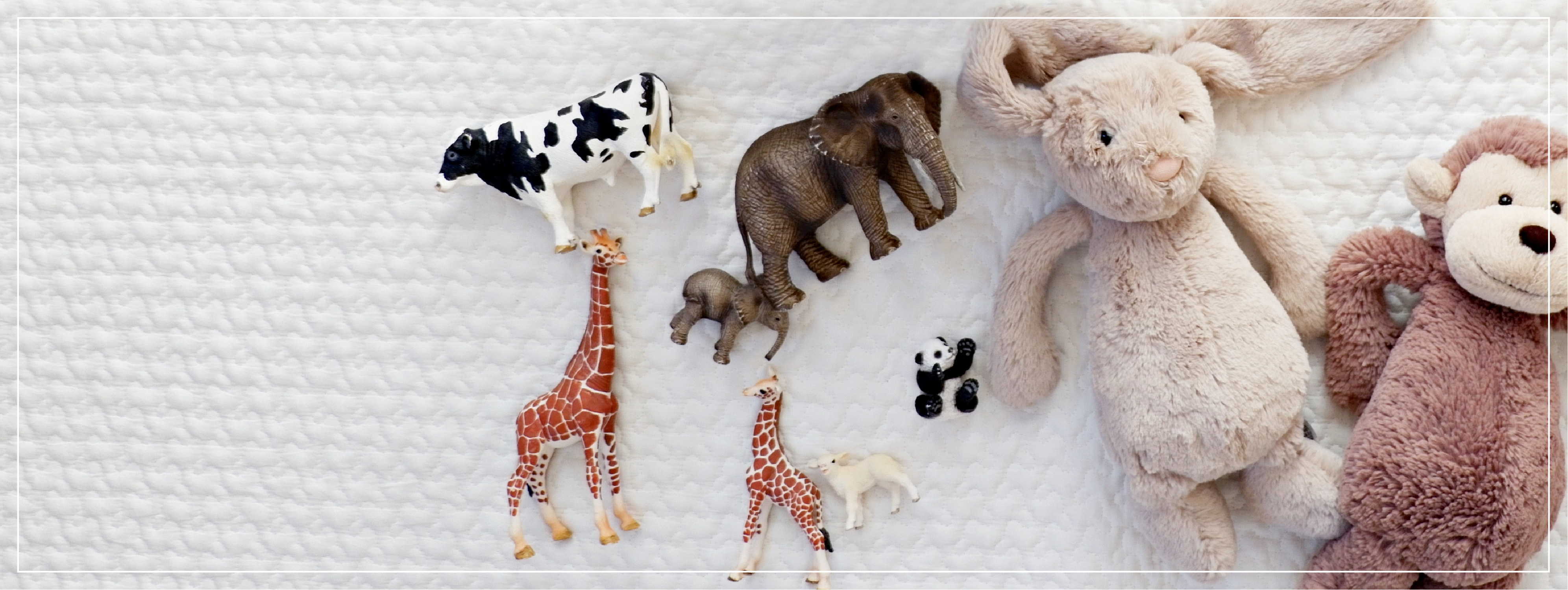 Animaux