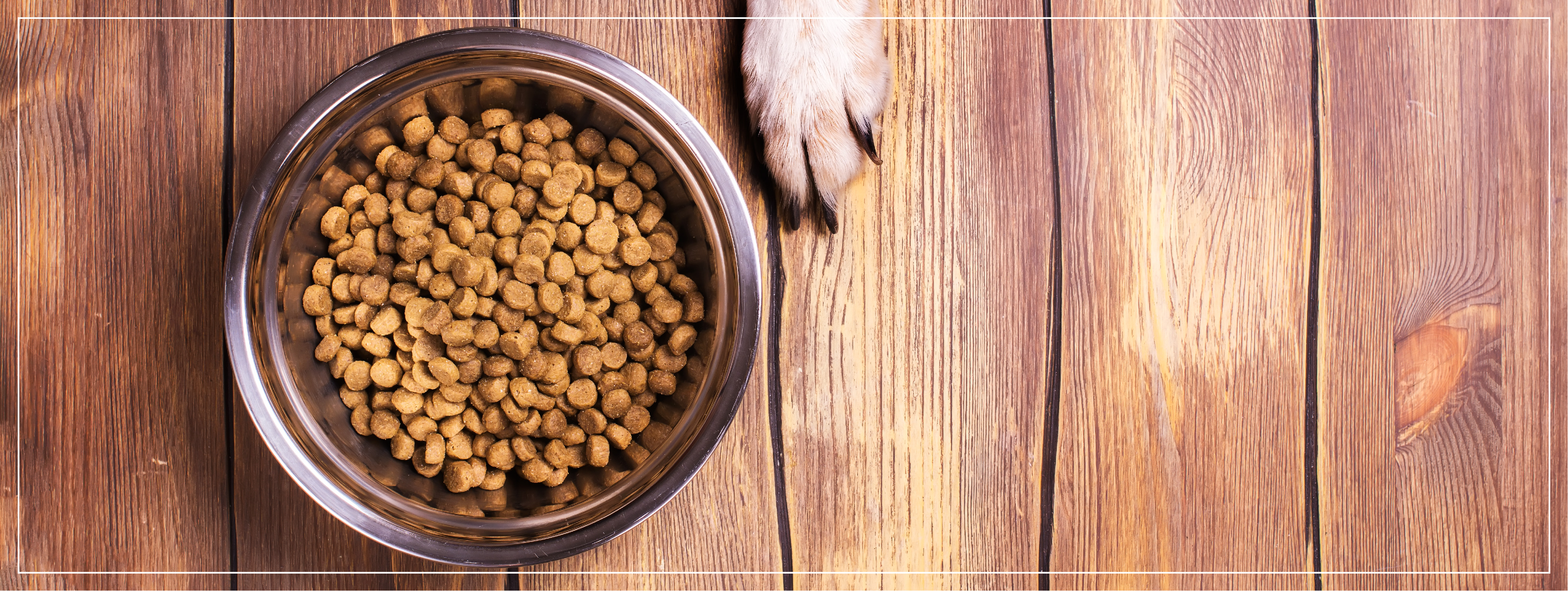 Bols pour Animaux